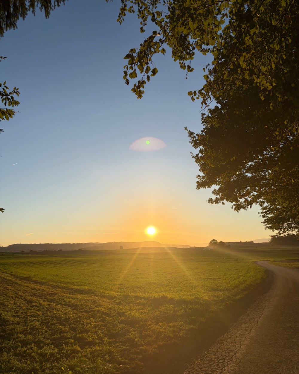 A golden evening light over a field and a country road
